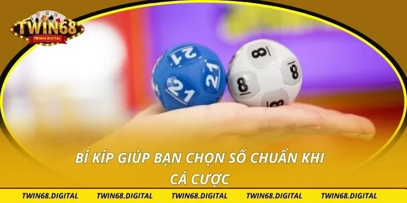 Bí kíp giúp bạn chọn số chuẩn khi cá cược