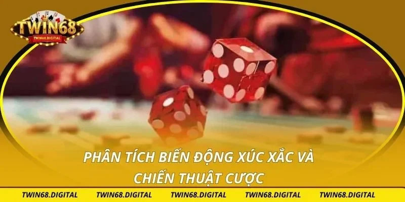 Phân tích biến động xúc xắc và chiến thuật cược